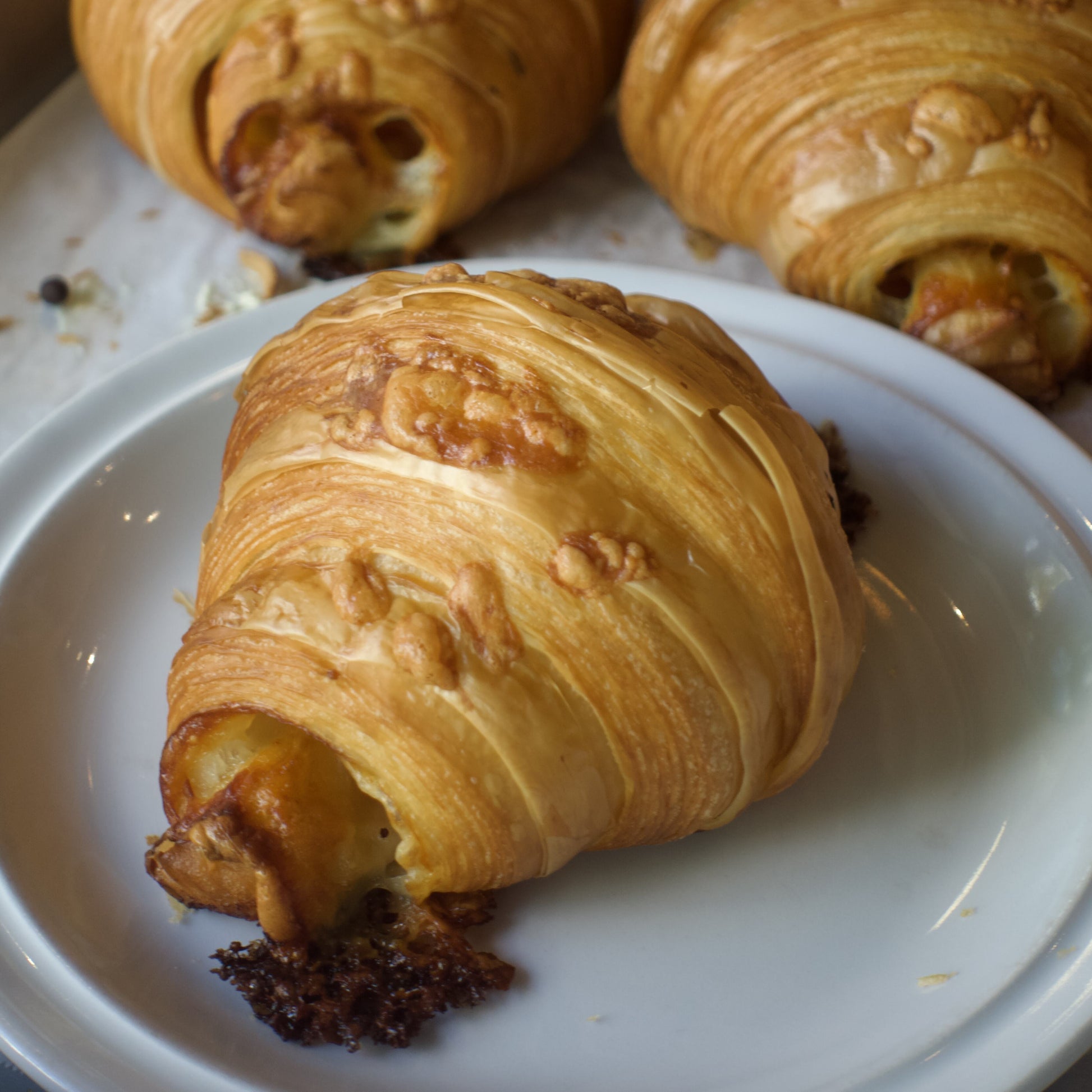 Ham and Cheese Croissant on white plate